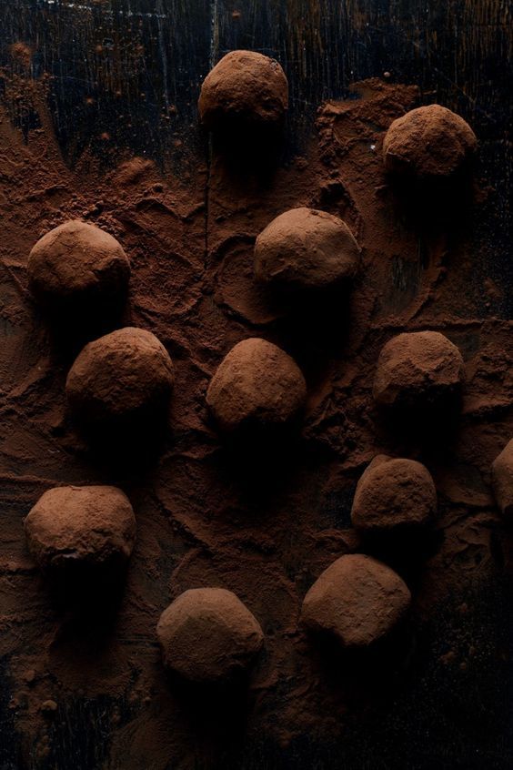 Birch Chaga Truffles