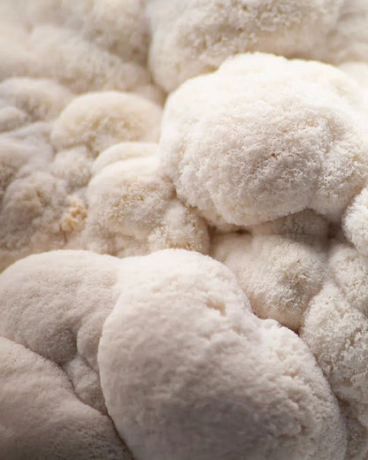 Earth Blend Instant Mushroom Coffee (Medium Roast)