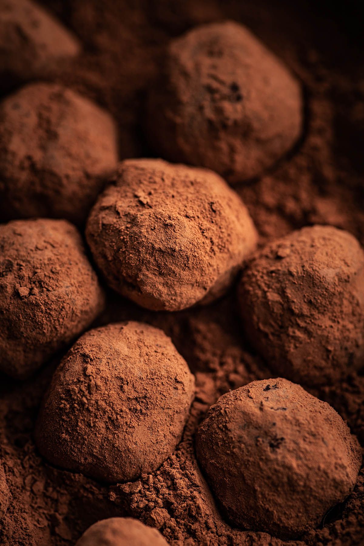 Birch Chaga Truffles